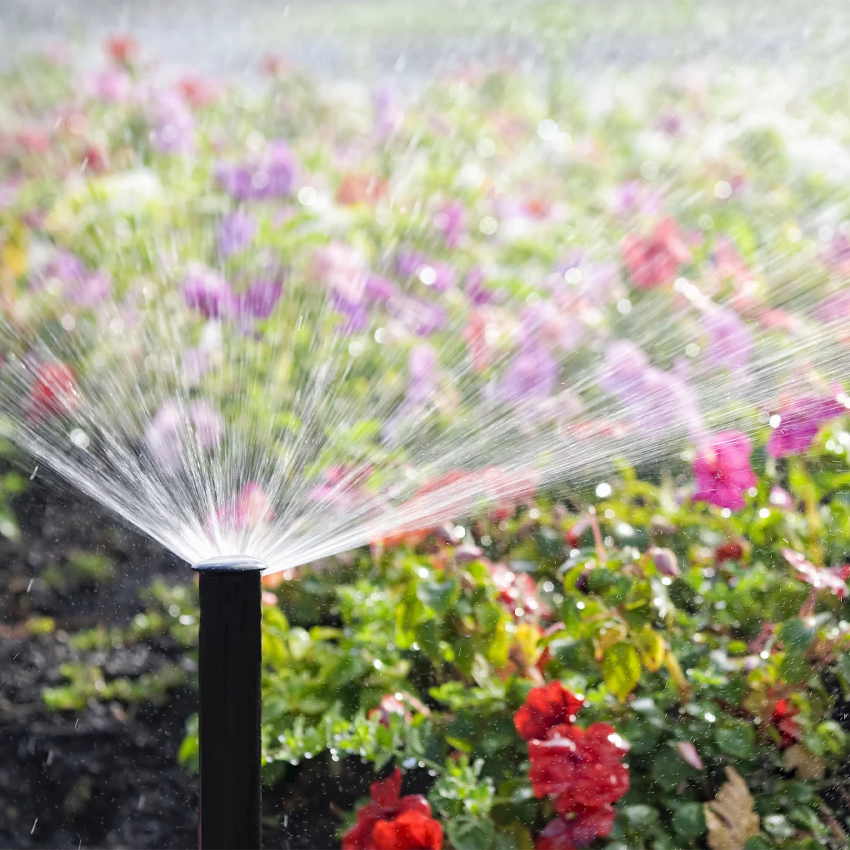 Sistemi di irrigazione giardino Rainbird - Idrosanitaria Piave